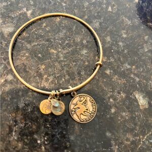 Alex and Ani Gold Sagittarius Charm Bracelet